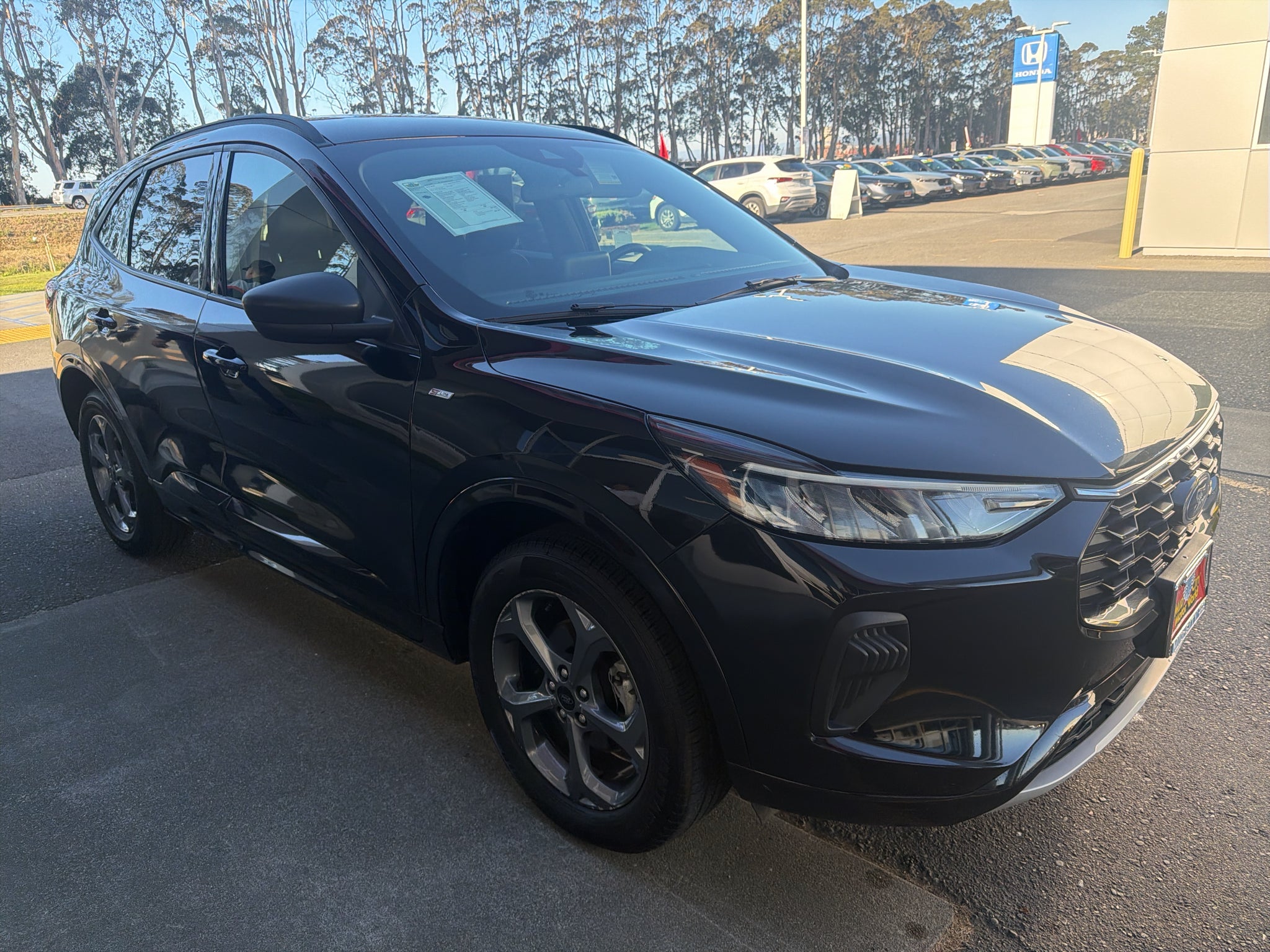 2024 Ford Escape ST-Line
