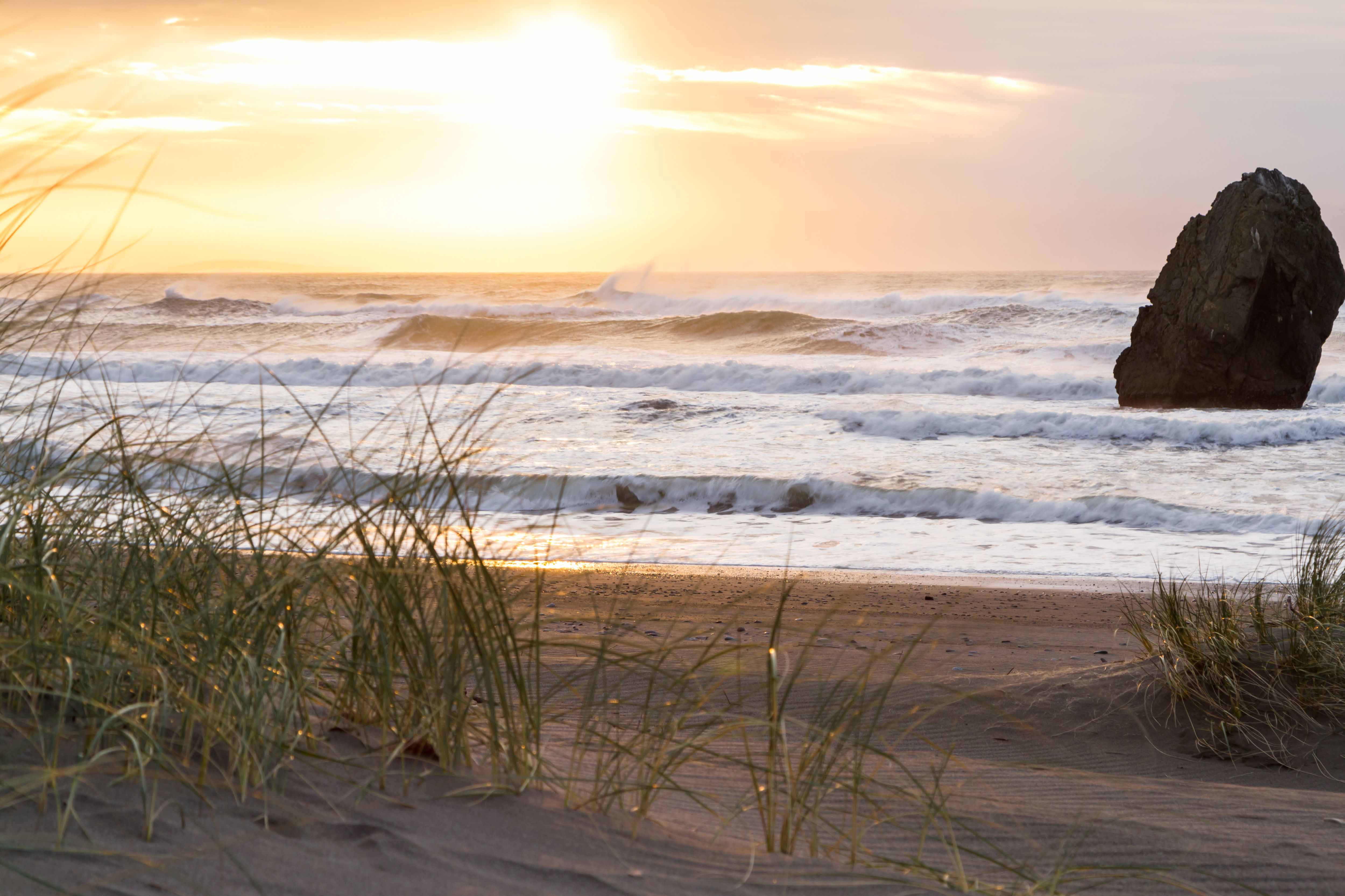 Oregon Coast/Brookings